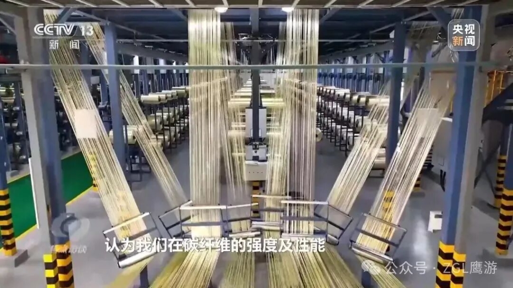 央視《焦點訪談》專題報道！解碼這束“黑色黃金”的培育路徑